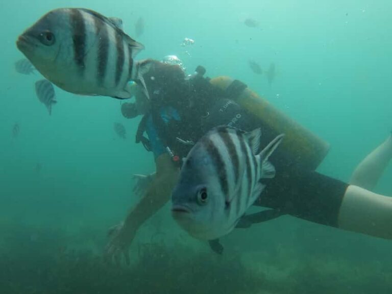 Mombasa: Discover Scuba Diving Experience with PADI Guide - Who Should Consider This Experience?