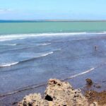 Mombasa: Discovery Day Tour and Haller Park - FAQ