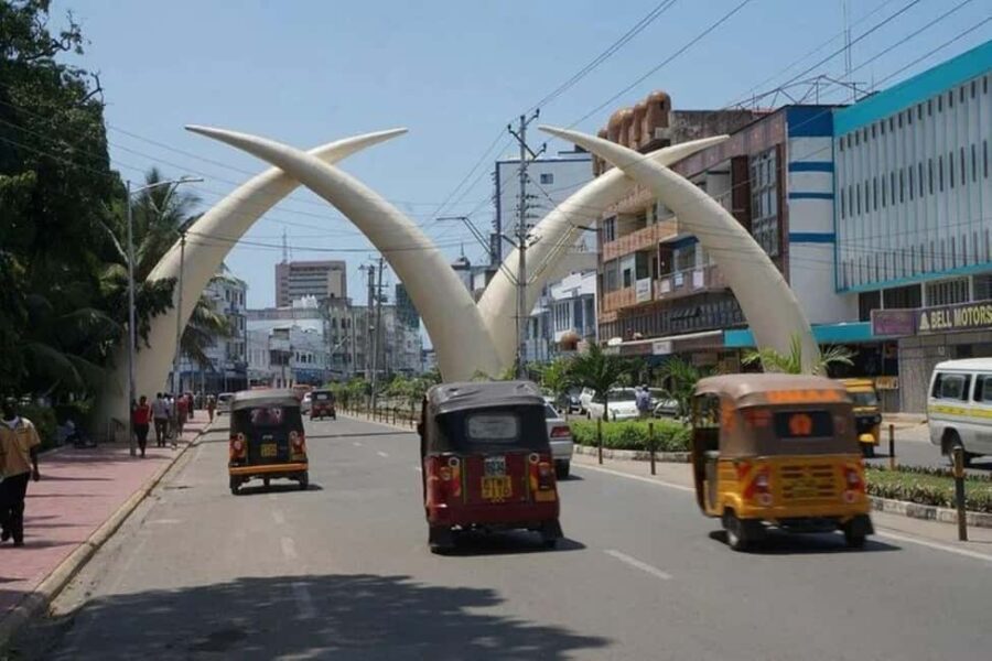 Mombasa: Discovery Day Tour and Haller Park - Why This Tour Offers Great Value