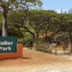Mombasa: Discovery Day Tour and Haller Park - Final Thoughts