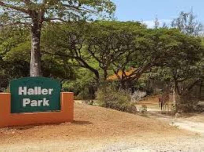 Mombasa: Discovery Day Tour and Haller Park - Final Thoughts