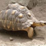 Mombasa: Full Day Private Tour and Excursions - What Makes This Tour Valuable?