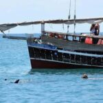 Mombasa: Snorkeling, Dolphin watching, seafood lunch. - Practical Details and Whats Included