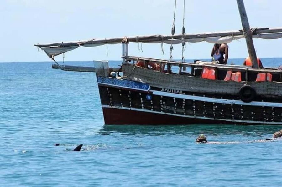Mombasa: Snorkeling, Dolphin watching, seafood lunch. - Practical Details and Whats Included