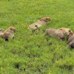Mombasa: Tsavo East National Park Day Trip with Lunch - Practical Tips for Making the Most of Your Trip