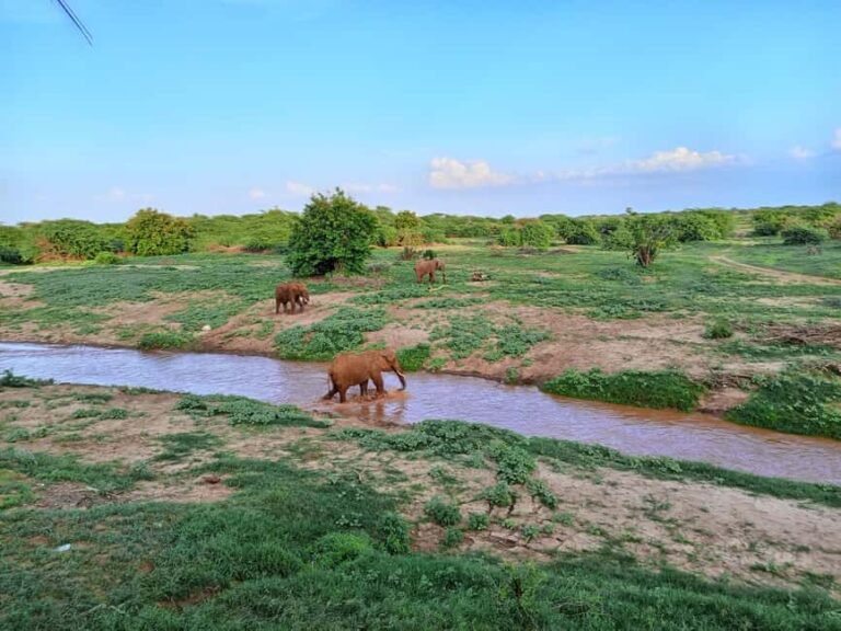 Mombasa: Tsavo East Ngutuni Sanctuary Overnight Safari - The Safari Lodges and Views