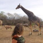 MOMBASA:FortJesus,OldCity,GiraffeOstrich,Oryx,Eland,WildTour - Practical Details and Considerations