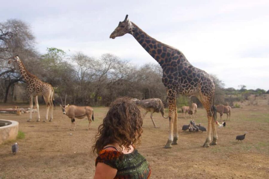 MOMBASA:FortJesus,OldCity,GiraffeOstrich,Oryx,Eland,WildTour - Practical Details and Considerations