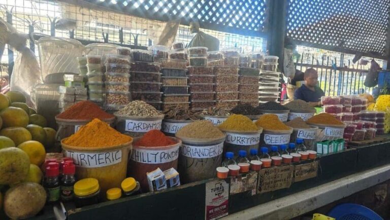 Mombasa:OldTown&FortJesus&SpiceMarket&ElephantTusk DayTour. - What to Expect on the Tour