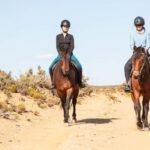 Montagu: 3-Day Horse Riding Adventure with Big 5 Safari - Day 1: A Sunset Ride into the Klein Karoo’s Heart