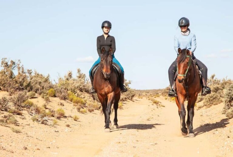 Montagu: 3-Day Horse Riding Adventure with Big 5 Safari - Day 1: A Sunset Ride into the Klein Karoo’s Heart