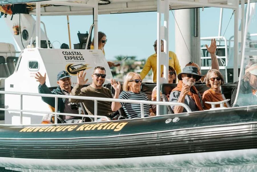 Mooloolaba: 2-Hour Whale Watching Adventure - The Highlights of the Tour