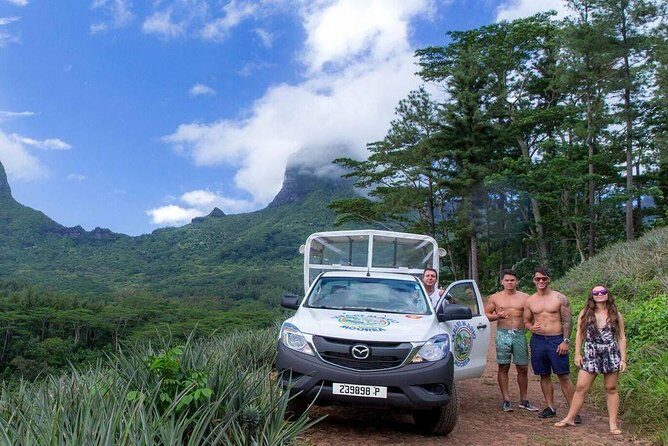 Moorea 4WD Tour Inc. Belvedere, Pineapple Farm, Magic Mountain... - An In-Depth Look at the Moorea 4WD Tour