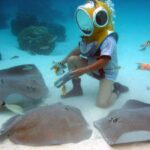 Moorea: Aquablue Helmet Underwater Walking Experience - Why We Think This Tour Provides Great Value