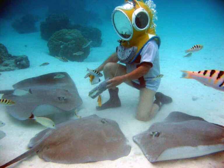 Moorea: Aquablue Helmet Underwater Walking Experience - Why We Think This Tour Provides Great Value