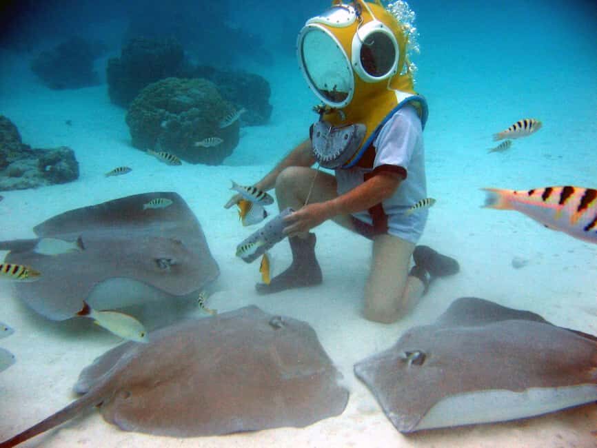 Moorea: Aquablue Helmet Underwater Walking Experience - Why We Think This Tour Provides Great Value
