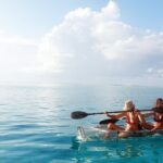 Moorea Lagoon Tour by Transparent Kayak - Final Thoughts