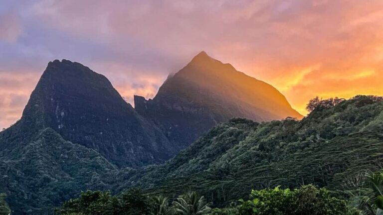 Moorea photographic excursion in private and adapted session - Frequently Asked Questions