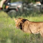 Moremi Game Reserve Delta Day Trip - FAQ