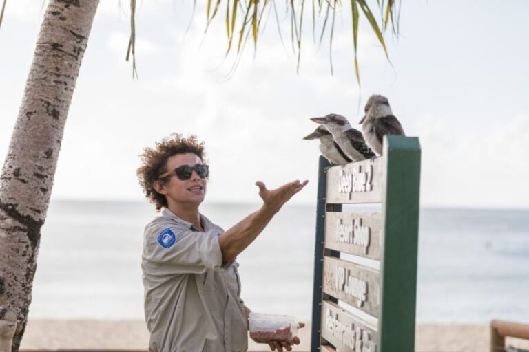 Moreton Island: Desert Safari Tour & Dolphin Viewing - The Desert Safari and Sand Tobogganing