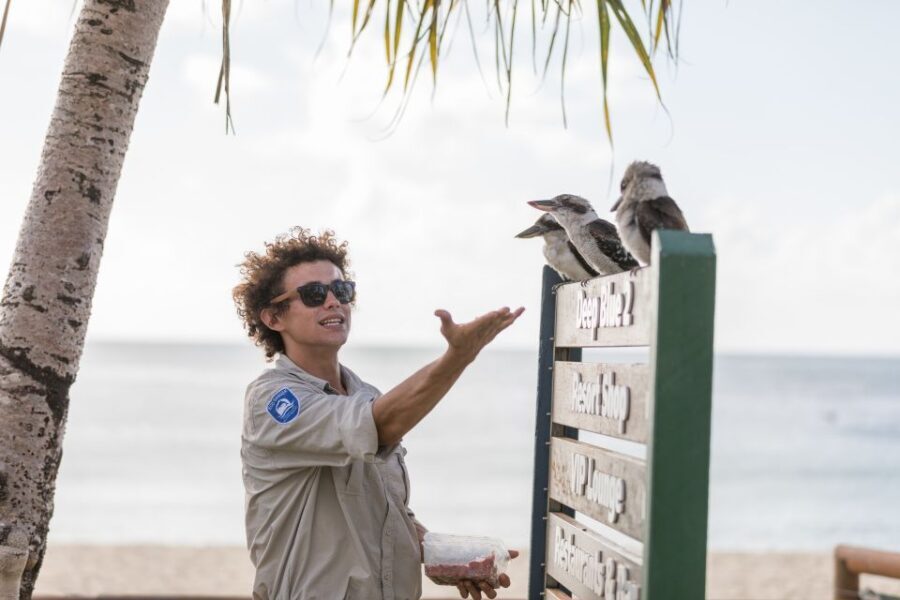 Moreton Island: Desert Safari Tour & Dolphin Viewing - The Desert Safari and Sand Tobogganing