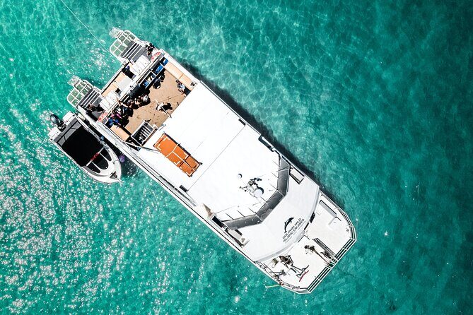 Moreton Island Eco Marine Safari Cruise and Snorkel - Final Thoughts