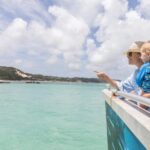Moreton Island: Marine Discovery Cruise & Dolphin Viewing - Who Will Love This Tour?