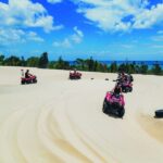 Moreton Island: Tangalooma ATV Quad Bike & Dolphin Feeding - Exploring Tangalooma: What to Do