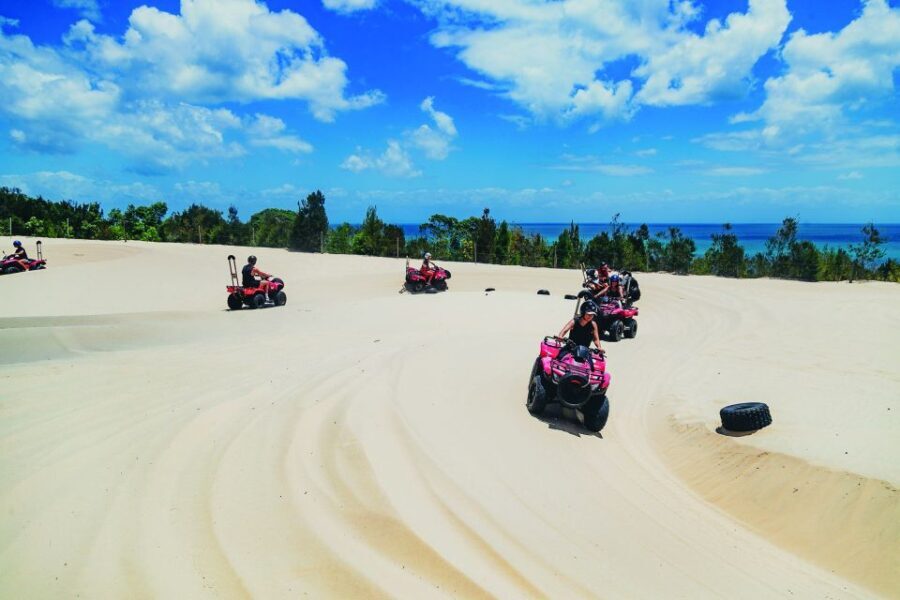 Moreton Island: Tangalooma ATV Quad Bike & Dolphin Feeding - Exploring Tangalooma: What to Do