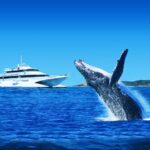 Moreton Island: Tangalooma Day Trip & Whale Watching Cruise - The Real Value of This Tour