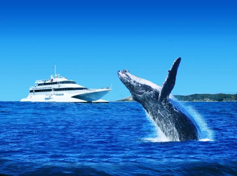 Moreton Island: Tangalooma Day Trip & Whale Watching Cruise - The Real Value of This Tour