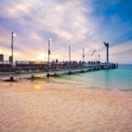 Moreton Island: Tangalooma Snorkelling with Dolphin Viewing - The Wildlife and Eco Experiences