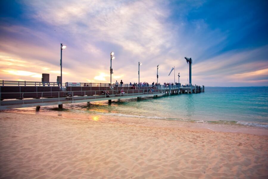 Moreton Island: Tangalooma Snorkelling with Dolphin Viewing - The Wildlife and Eco Experiences