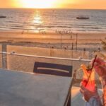 Moreton Island: Tangalooma Whale Watching & Dolphin Viewing - What Travelers Love About This Tour