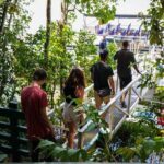 Morning Daintree Tour with River Cruise from Port Douglas - What Makes This Tour Stand Out?
