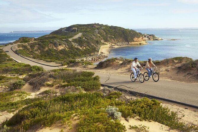 Mornington Peninsula Coastal Discovery Tour from Melbourne - What’s Included and What to Consider