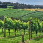 Mornington Peninsula Day Tour. Your Day Your Way. Your group only - Key Points