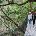Mornington Peninsula: Enchanted Adventure General Admission - A Detailed Look at the Enchanted Adventure Experience