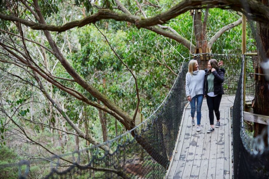Mornington Peninsula: Enchanted Adventure General Admission - A Detailed Look at the Enchanted Adventure Experience