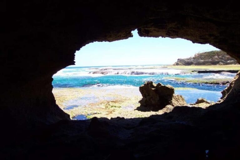 Mornington Peninsula Private Day Tour - What Makes This Tour Stand Out?