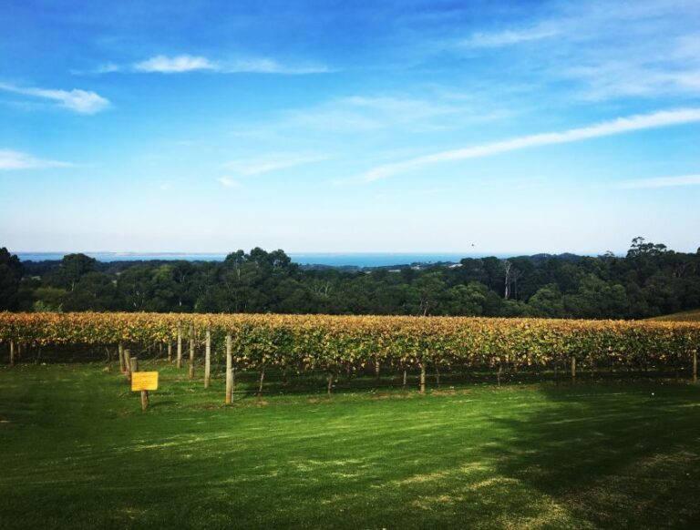 Mornington Peninsula Scenic Bus Tour with Chairlift & Lunch - What to Expect: An Itinerary Breakdown