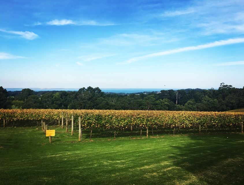 Mornington Peninsula Scenic Bus Tour with Chairlift & Lunch - What to Expect: An Itinerary Breakdown