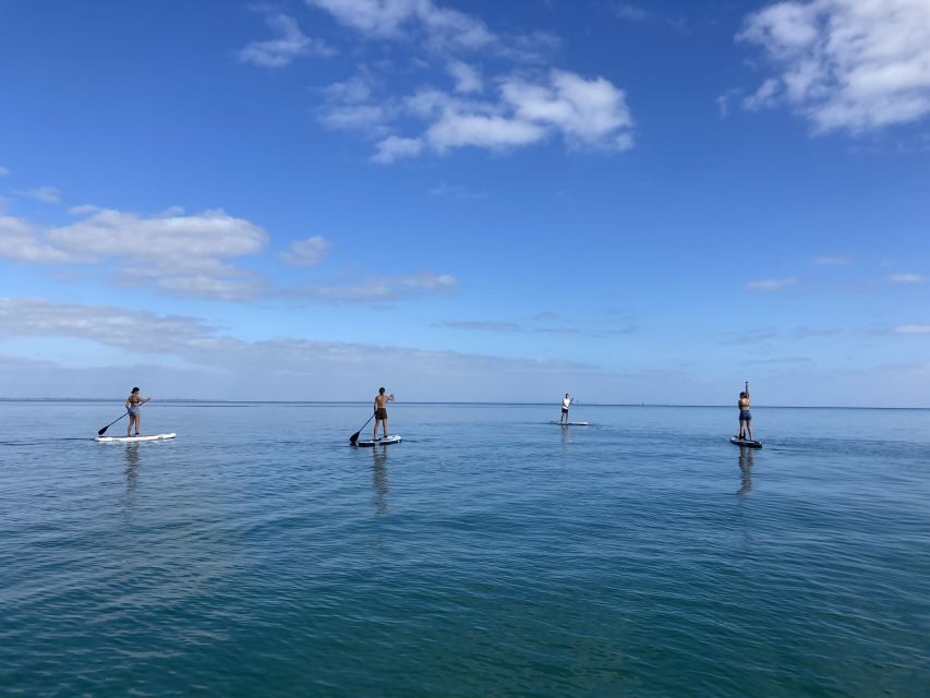 Mornington Peninsula: SUP, Hike, & Hot Springs Trip w/ Lunch - What Travelers Should Know