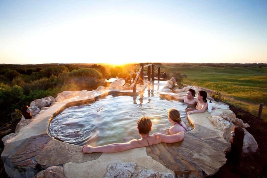 Mornington Peninsula Tour: wildlife, wine, art & hot springs - The Itinerary in Detail