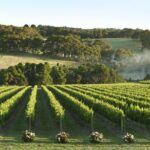 Mornington Peninsula Wine Day Tour - Who Will Love This Tour?