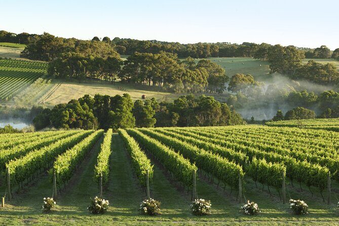 Mornington Peninsula Wine Day Tour - Who Will Love This Tour?