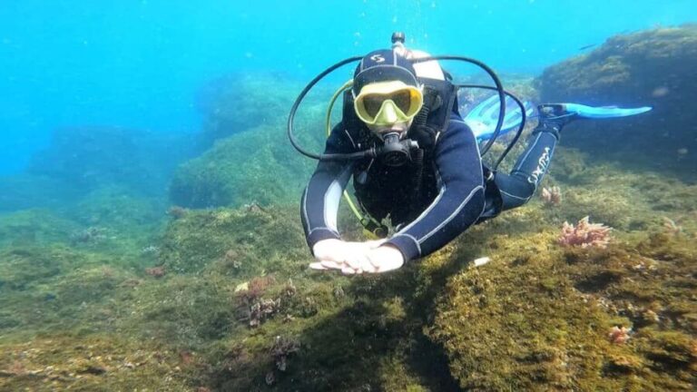 Morocco: PADI Discover Scuba Diving Dive - Why This Tour Offers Great Value