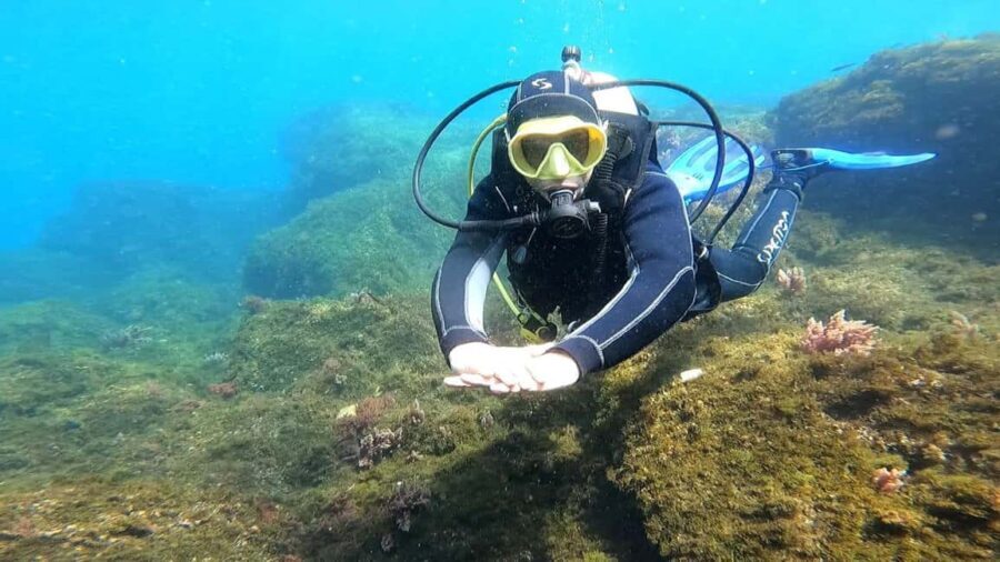 Morocco: PADI Discover Scuba Diving Dive - Why This Tour Offers Great Value