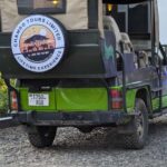 Morogoro: 3-Day Nyerere National Park Safari & Boat Tour - Authentic Experiences and Insights from Reviews