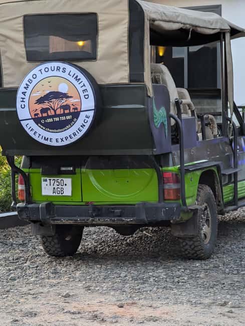 Morogoro: 3-Day Nyerere National Park Safari & Boat Tour - Authentic Experiences and Insights from Reviews